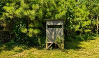 SW Auburn Drive, Bogue Chitto, MS 39629
