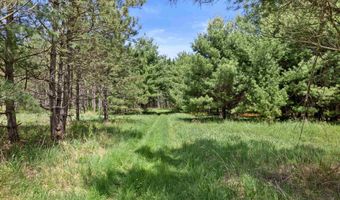 Chicago Avenue lot 3, Arkdale, WI 54613