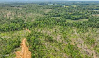 Wynn Road, Big Sandy, TN 38221