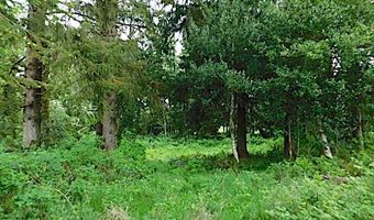 Knappa Dock RD, Astoria, OR 97103