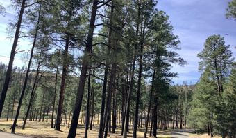 212 Lake Shore Dr 1, Alto, NM 88312