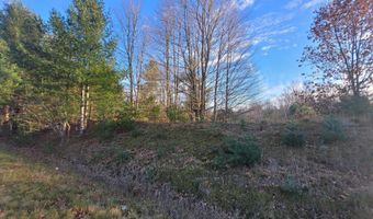 1091 Plum Valley Rd NW, Alden, MI 49612