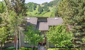 125 E Hyman Ave 1A, Aspen, CO 81611