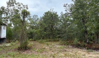 4539 NW Miller/White LN Rd, Altha, FL 32421