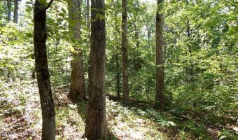330 County Road 245, Abbeville, MS 38601