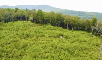 224 Arrau Rd, Andover, VT 05143