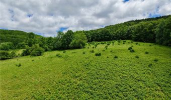 240 Dowie Rd, Andes, NY 13731