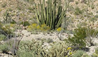 240 S Alley Rd, Ajo, AZ 85321