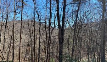 10880 Big Creek Rd, Ellijay, GA 30536