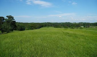 339 MCNUTT Rd, Bear Creek, AL 35543