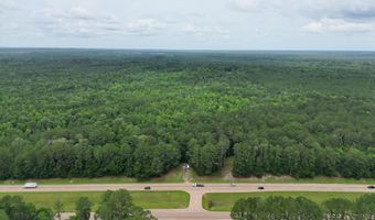 U.s. 49, Braxton, MS 39044