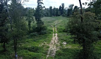 tbd 54.89 Acres N Hwy 53, Arkadelphia, AR 71923