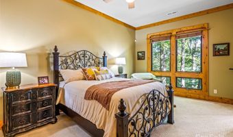 12 Trailridge Rd, Asheville, NC 28804