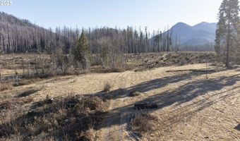 91737 BLUE RIVER RESERVOIR Rd, Blue River, OR 97413