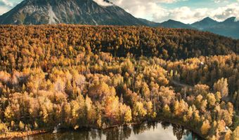 17261 N Rock Rose Ln, Chickaloon, AK 99674