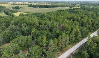 6049 21st Ave, Bell, FL 32619