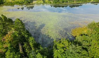 Mcduff Drive, Alford, FL 32420
