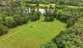 Vine Drive, Brandon, MS 39047