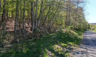 East River Road lot 5, Andes, NY 13731