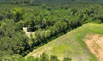 Rooks Road, Atkinson, NC 28421