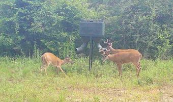 Harry Priddy Road, Americus, GA 31719