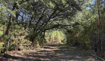 57 40 Acres-TBD Cades Rd, Cades, SC 29518
