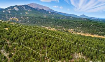 437 County Road 84 W, Allenspark, CO 80510