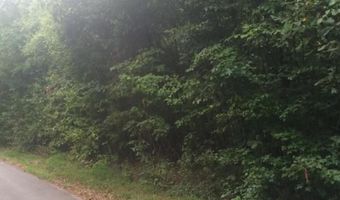3347 Mountain View Ln, Baneberry, TN 37890