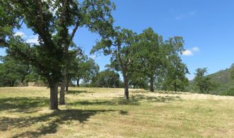 3528 Appaloosa Way, Angels Camp, CA 95222