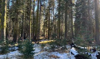 550 Cabbage Patch Log Rd, South Lake Tahoe, CA 95223