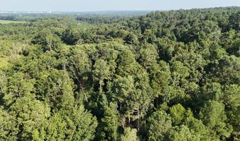 Swamp Road, Beech Island, SC 29842