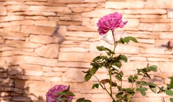 927 CAMINO VISTA RIO, Bernalillo, NM 87004