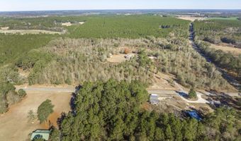 4065 Gordon Rd, Abbeville, GA 31001