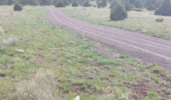 01195 Rito Hondo Rd, Antonito, CO 81120