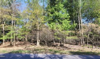 D2019 Penn Forest Trail, Albrightsville, PA 18210