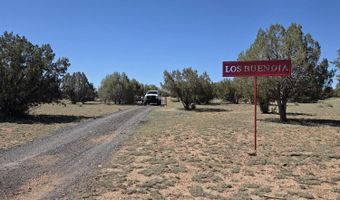 42650 N Wayne Rd, Ash Fork, AZ 86320