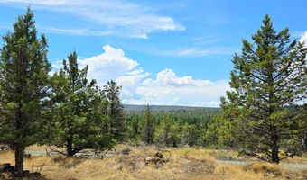 Canvasback Drive 28, Bonanza, OR 97623