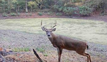 179 Little River 67 Rd, Ashdown, AR 71822