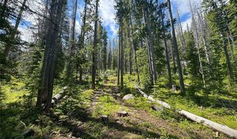 Nhn Cataract Creek Road, Basin, MT 59631