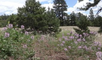 Lot 25a The Ranch At Alpine, Alpine, AZ 85920