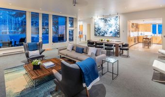 506 W Hallam St, Aspen, CO 81611