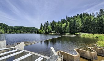 71624 Fishhawk Rd, Birkenfeld, OR 97016