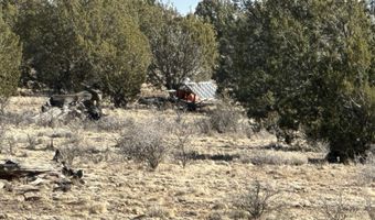 116 B NE Raging Crab Rd, Ash Fork, AZ 86320