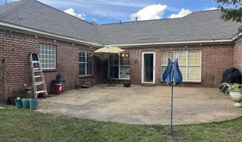 204 Riverbirch Cv, Brandon, MS 39047