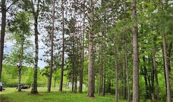 35270 Bear Creek Rd, Askov, MN 55704