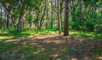 165 NW 150th Ln, Andover, MN 55304