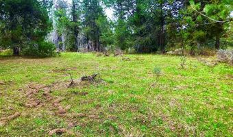 4402 Granite Rdg N, Ashton, ID 83420