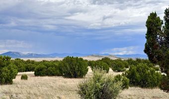 Tbd County Rd N3440, Concho, AZ 85924