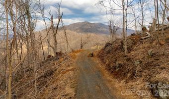 Elliotts Loop 123 & 124, Bakersville, NC 28705