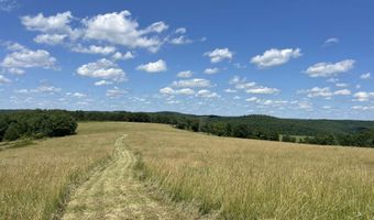 22017 E State Hwy 76, Ava, MO 65608